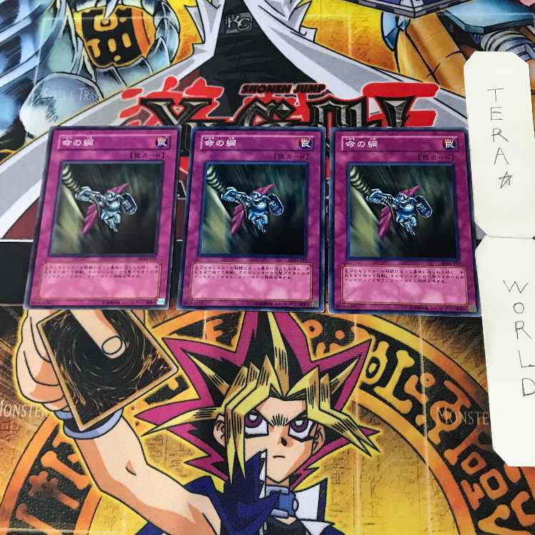 Rope of Life 2 Normal, set of 3 Tera