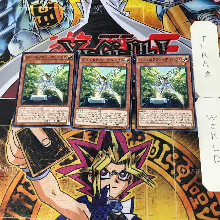 Aromatheraphy - Angelica 9 Normal, set of 3, Terra