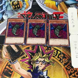 Gale Dogra 3 Normal Set of 3 Tera