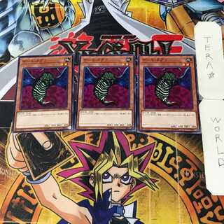 Gale Dogra 5 Normal Set of 3 Tera