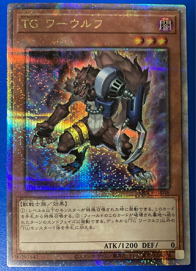 T.G. Warwolf QCSE, 25th Sikh QCCP-JP036