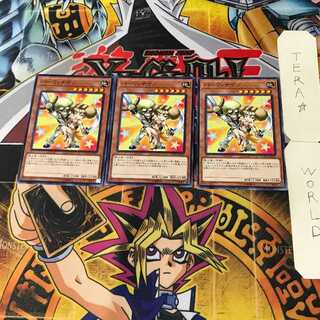 Parry Knights 8 Normal, set of 3 Tera