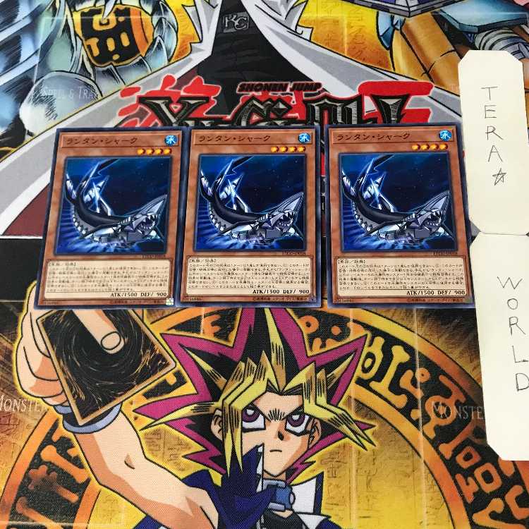 Lantern Shark 2 Normal, set of 3 Tera