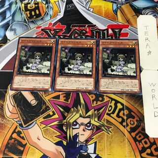 ワイトプリンセス 1 ノーマル 3枚セット てら