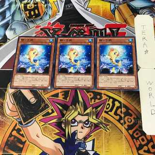 Beautunaful Princess 8 Normal, set of 3 Tera