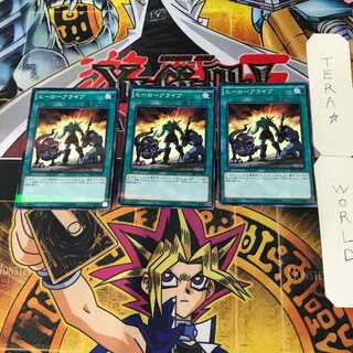 A Hero Lives 5 Normal Parallel Set of 3 Tera