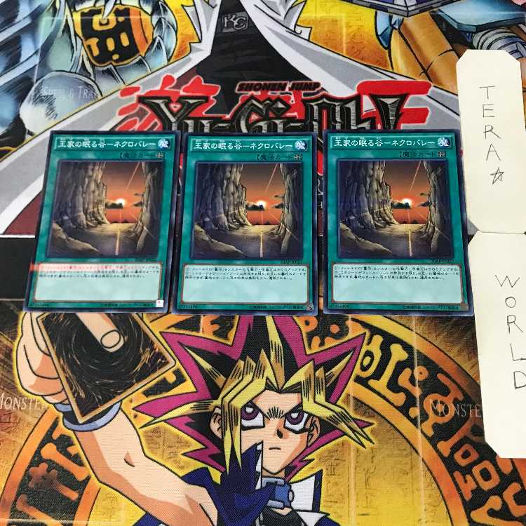 王家の眠る谷-ネクロバレー 8 ノーマルパラレル 3枚セット てら