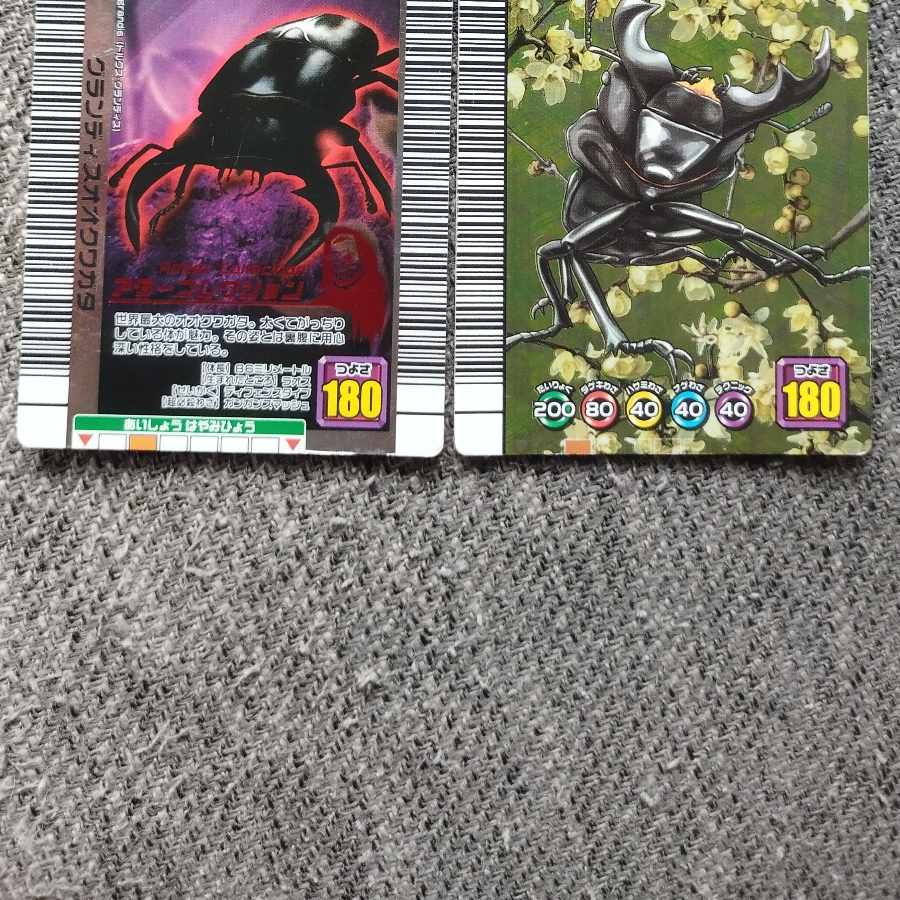 ムシキング アダーコレクション ２枚セット グランディスオオクワガタ