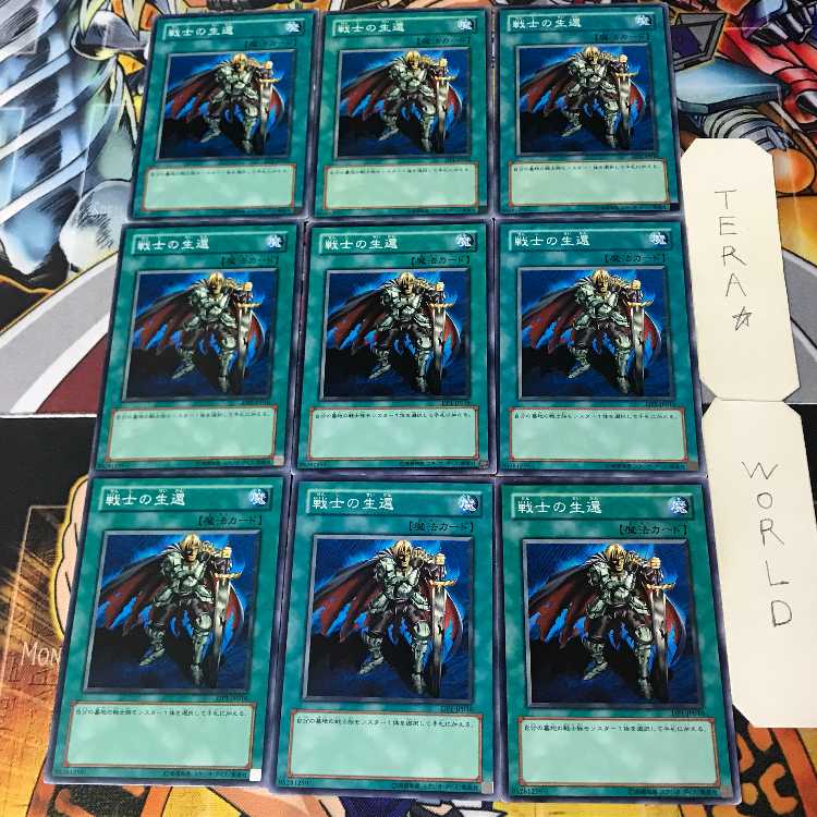 The Warrior Returning Alive 4 Normal 9-card set Tera