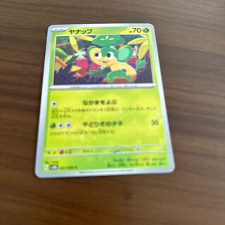 ヤナップ C 001/066