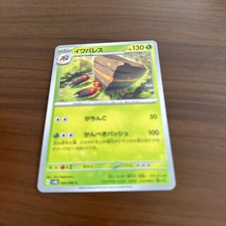 イワパレス C 005/066