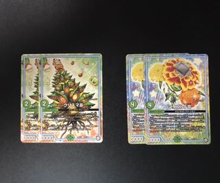 クリスマⅢ2枚 マリゴルドⅢ2枚