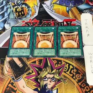 Kaiser Colosseum 302 6 Normal, set of 3 Tera