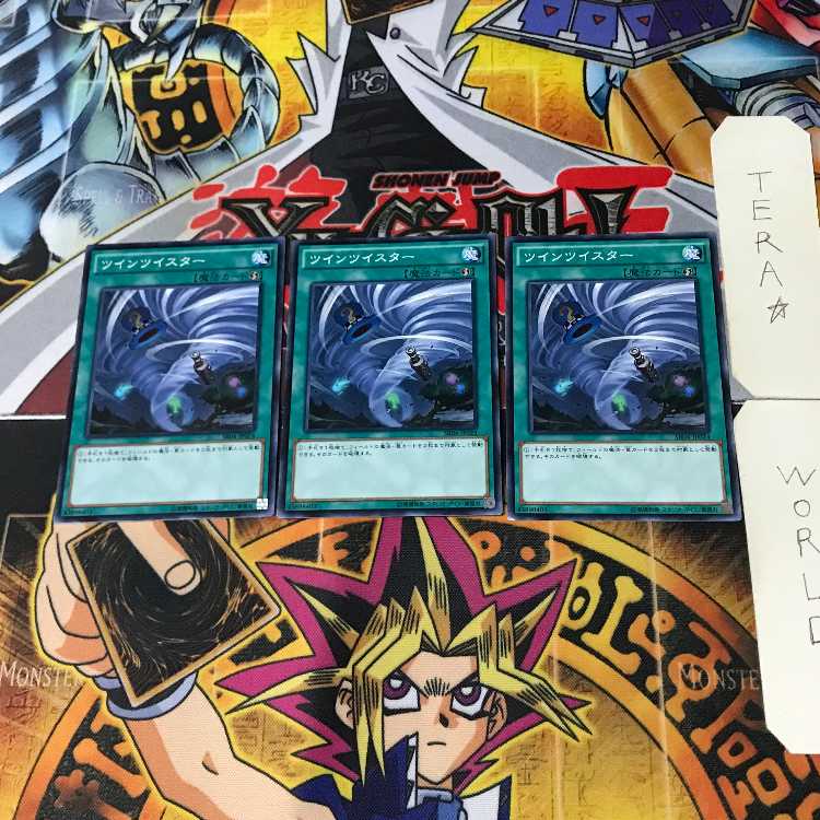 Twin Twisters SR04 2 Normal, set of 3 Tera