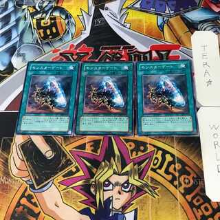 Monster Gate EE2 11 Normal, set of 3 Tera.