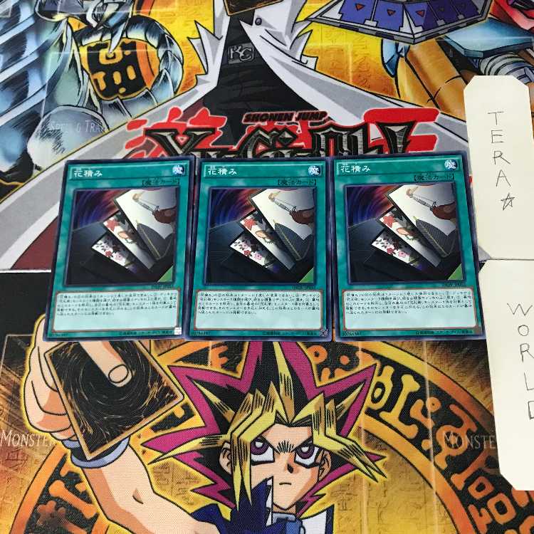 花積み INOV 3 ノーマル 3枚セット てら