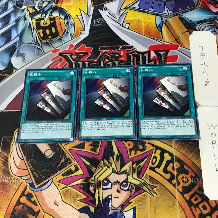 Flower Stacking INOV 4 Normal, set of 3 Tera