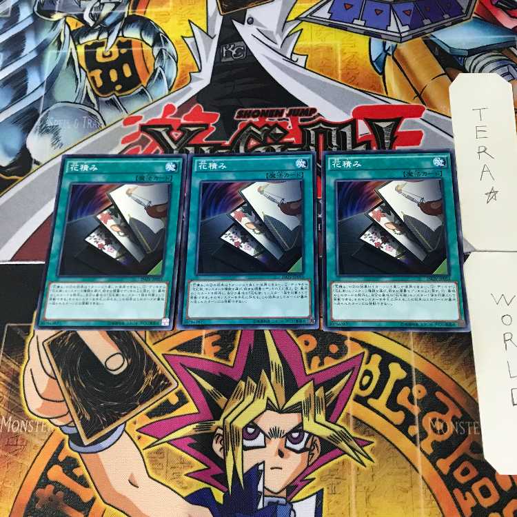 花積み INOV 5 ノーマル 3枚セット てら