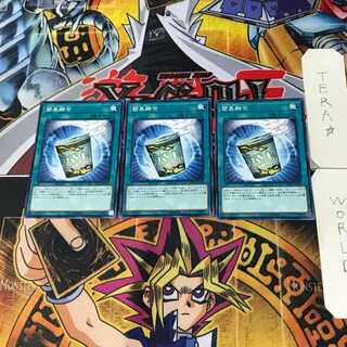 Instant Fusion DP19 1 Normal, set of 3 Tera.