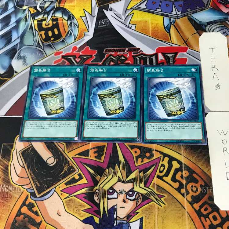 簡易融合 DP19 10 ノーマル 3枚セット てら