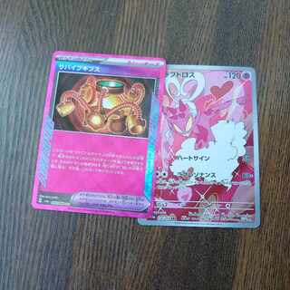 Survive Gips ACE 059/066