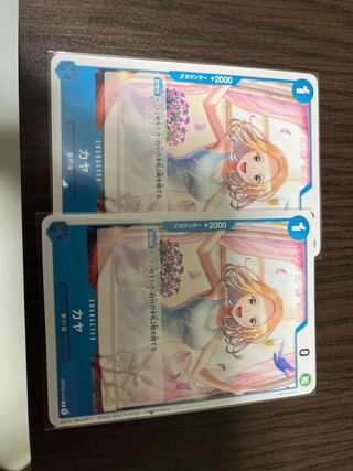 Japanese nutmeg tree (Torreya nucifera)