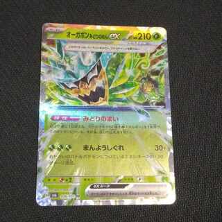 Ogapon Midori-no-men ex RR 016/101