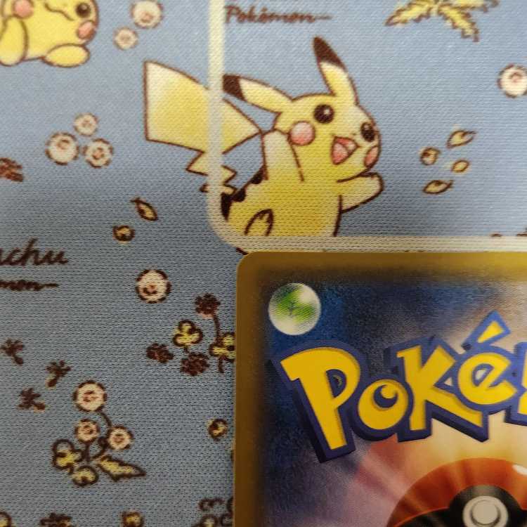 てりたま様専用