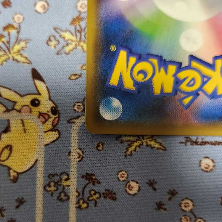 てりたま様専用