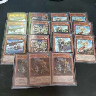 遊戯王　本格構築済みデッキ海造賊プランドロール海造賊-キャプテン黒髭
海造賊-静寂のメルケ号
海造賊-双翼のリュース号
海造賊-豪速のブレンネ号
海造賊-拠点
海造賊-象徴
海造賊-黒翼の水先人
海造賊-白髭の機関士　エフェクト・ヴェーラー