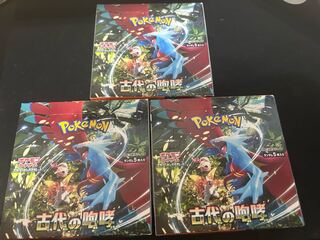 pocket monster (internationally popular cartoon series, originally a video game)