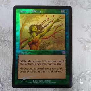 【MMQ】foil 自然の類似【英】