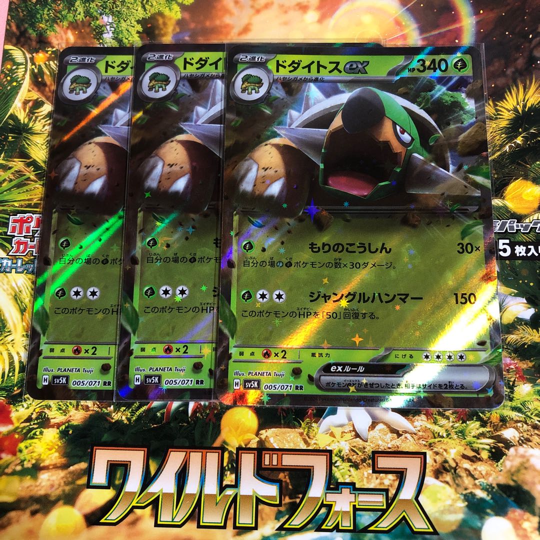 Torterraex RR 005/071