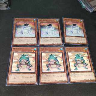 Dupe Frog Ronintoadin 6-piece set