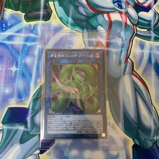 捕食植物ヴェルテ・アナコンダ  シク