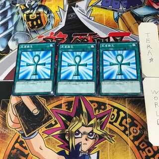 死者蘇生 SDMY 2 ノーマル 3枚セット てら