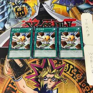 Hand Destruction SD24 2 Normal, set of 3 Tera.