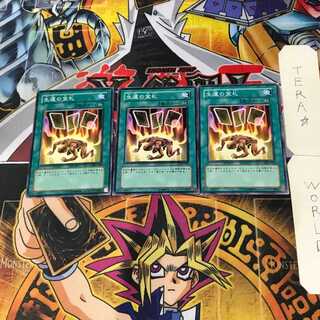 Card of Safe Return SDM 4 Normal Set of 3 Tera