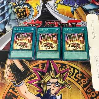 Card of Safe Return SDM 5 Normal, set of 3 Tera.