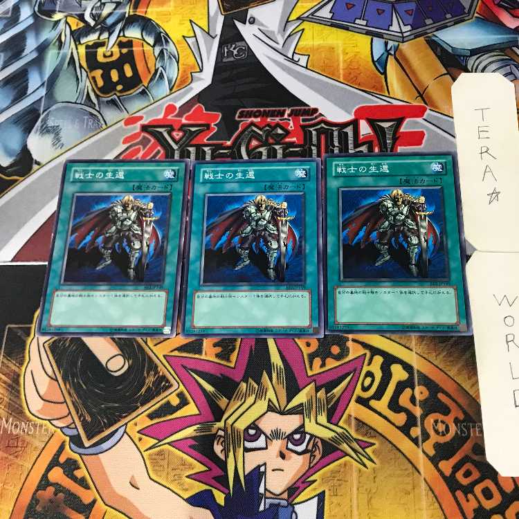 The Warrior Returning Alive BE2 4 Normal, set of 3 Tera.