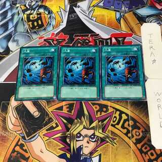 Heavy Storm SD09 5 Normal, set of 3 Tera