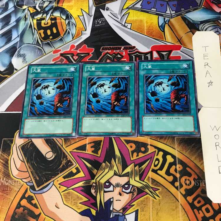 Heavy Storm SD2 3 Normal Set of 3 Tera