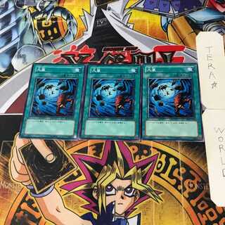 Heavy Storm SD3 3 Normal Set of 3 Tera