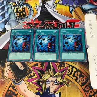 Heavy Storm SD4 6 Normal, set of 3 Tera