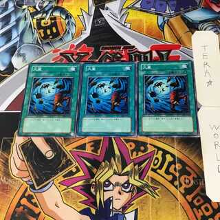 Heavy Storm SD8 5 Normal, set of 3 Tera