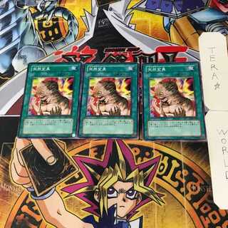 Metamorphosis 301 5 Normal, set of 3 Tera.