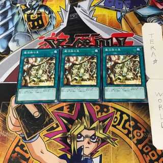 魔法族の里 DBIC 5 ノーマル 3枚セット てら