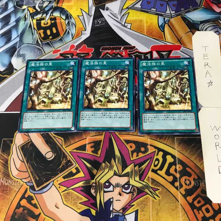 Secret Village of the Spellcasters DE03 5 Normal, set of 3 Tera