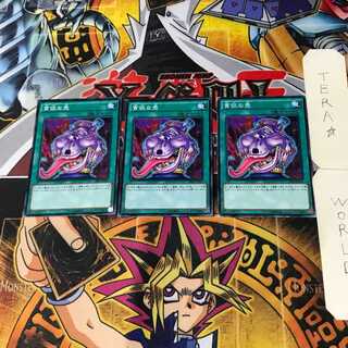 貪欲な壺 SR03 3 ノーマル 3枚セット てら