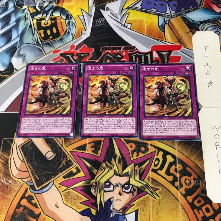 Dried Winds CORE 1 Normal, set of 3 Tera